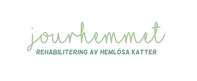 Jourhemmet Kattrehabilitering